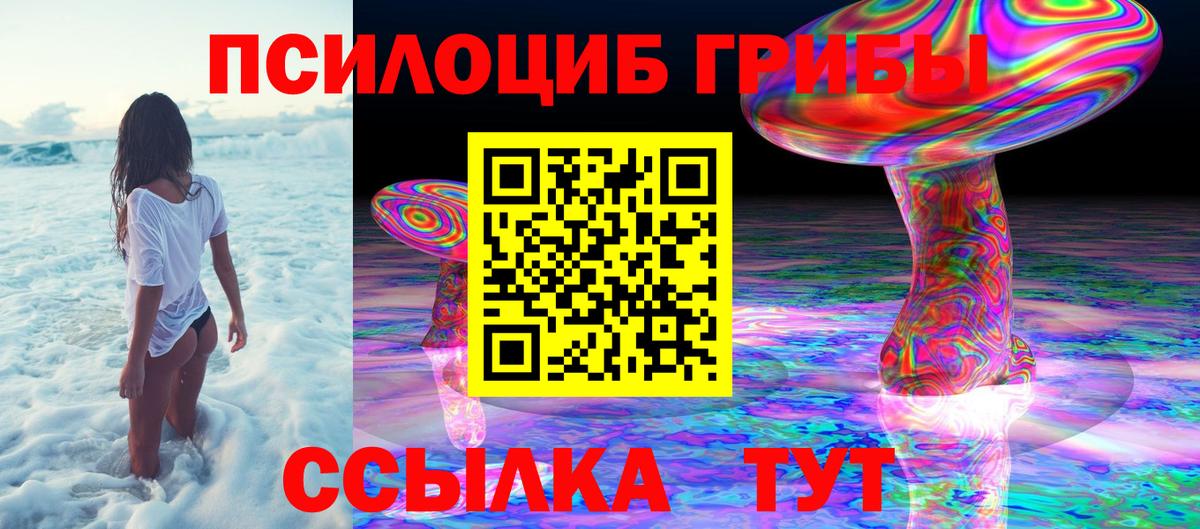 Псилоцибиновые грибы GOLDEN TEACHER  Вход с VPN  Урус-Мартан 